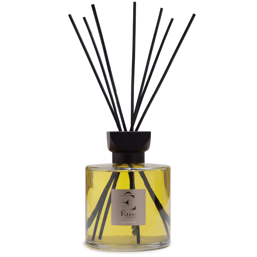Être Diffuser