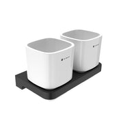 Toothbrush holder with cups