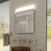 LED Mirror 500x700