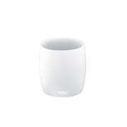 Toothbrush holder